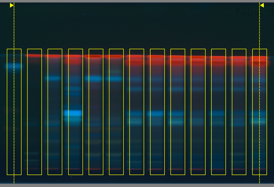 ../../../_images/adjust_sequence_position.png